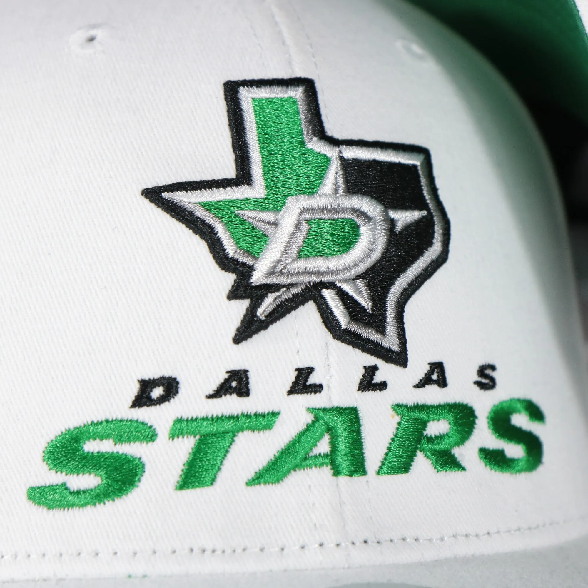 Dallas Stars NHL All in Pro Green Bottom | White Snapback Hat