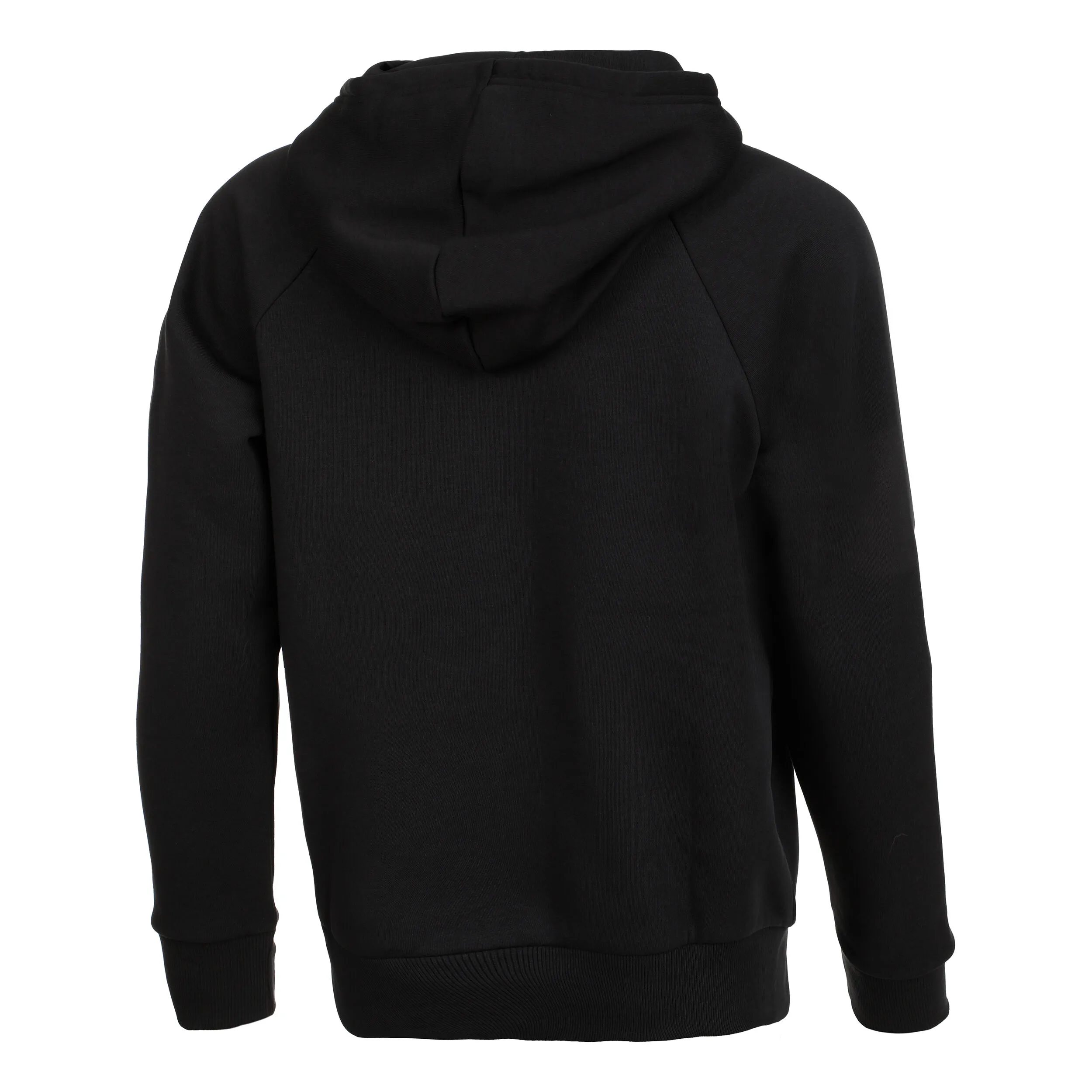 Under Armour Big Logo Hoody Women